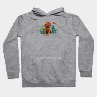 An Apricot Poodle and Butterfly Hoodie